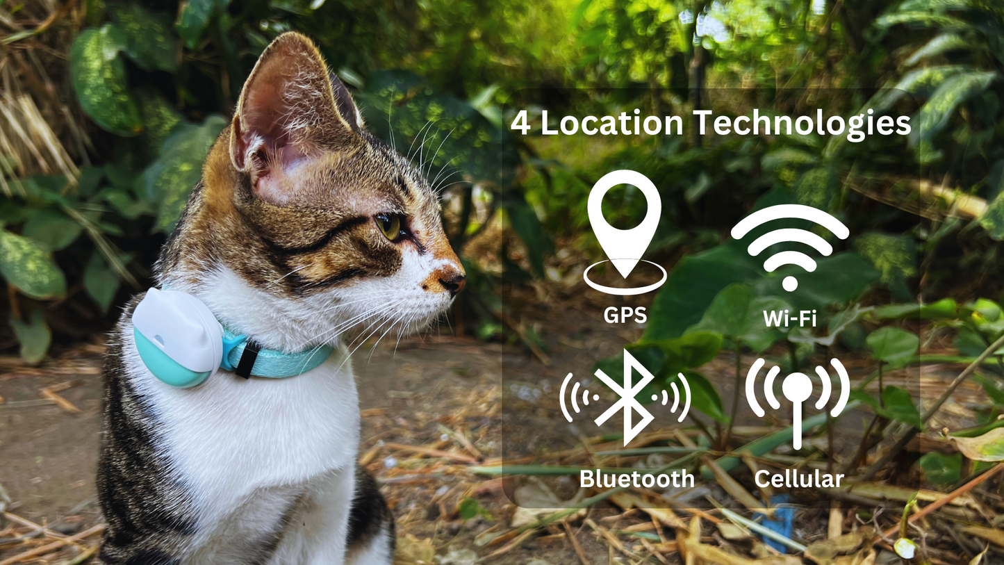 MeowTrack 4G Cat Tracker
