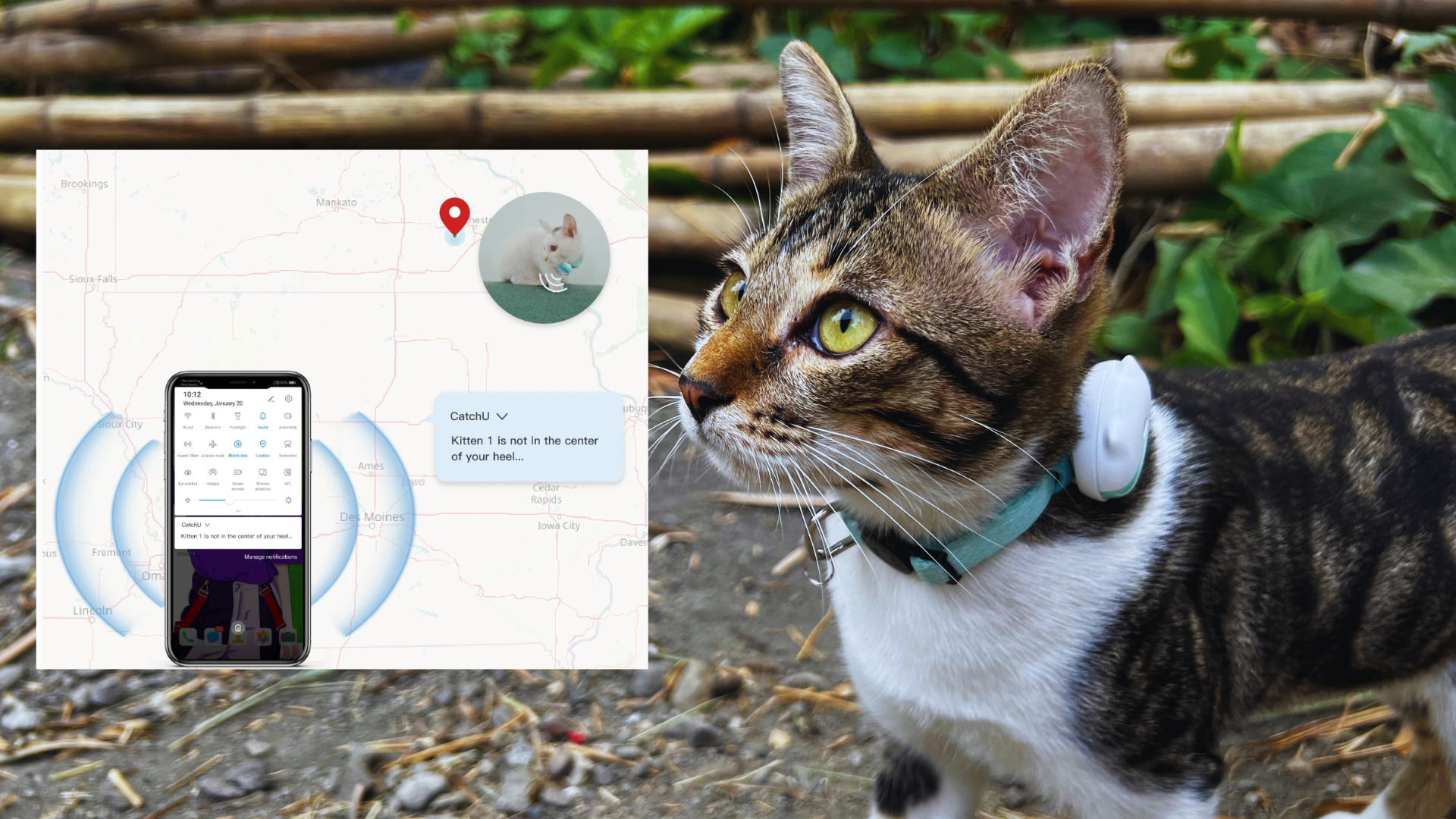 cat tracker with geofence
