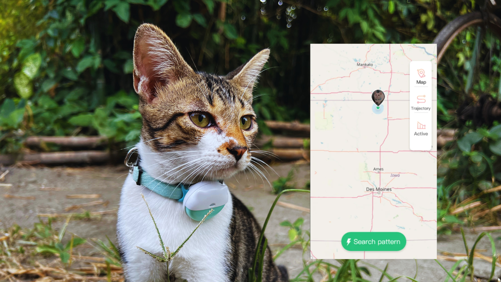 cat tracker with live tracking